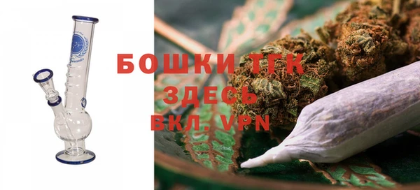 ешки Арсеньев