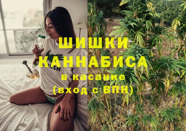 ешки Арсеньев